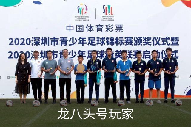 龙八头号玩家 公司简介
